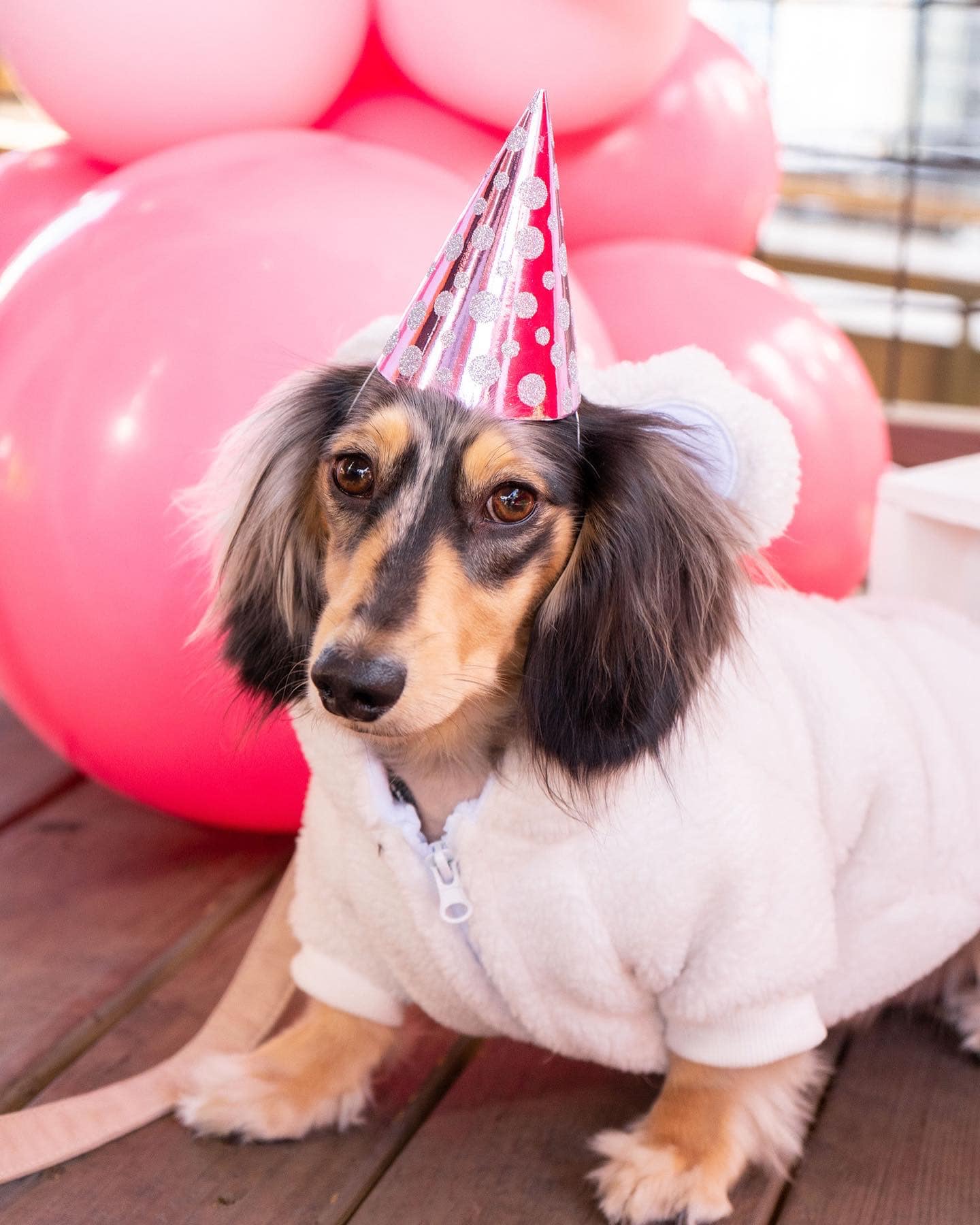 Birthday Pawty Balloons!